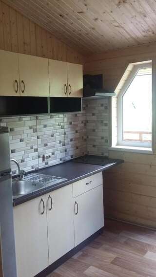 Лоджи Sadyba Gutsulska Pisnya Lodge Микуличин Апартаменты с 2 спальнями-12